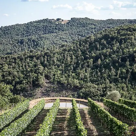 Casa Guaitoli * Bagni Di Petriolo