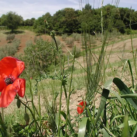 Holiday home Casa Guaitoli