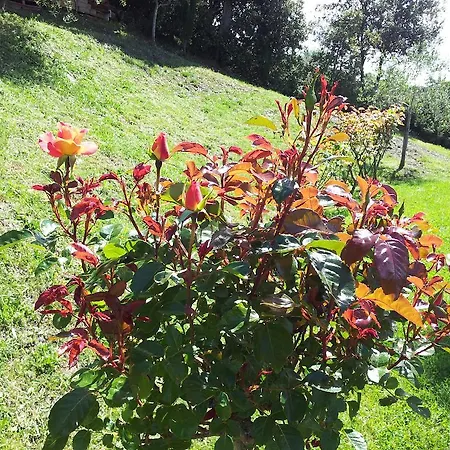 Holiday home Casa Guaitoli
