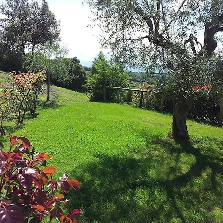 Casa Guaitoli *